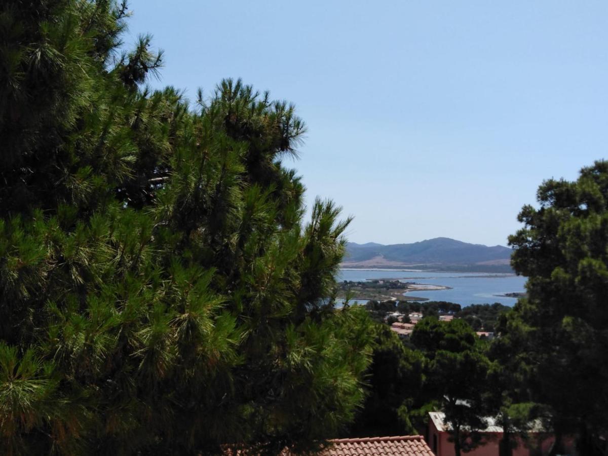 Villa Panoramica Immersa Nel Verde Porto Pino Bagian luar foto